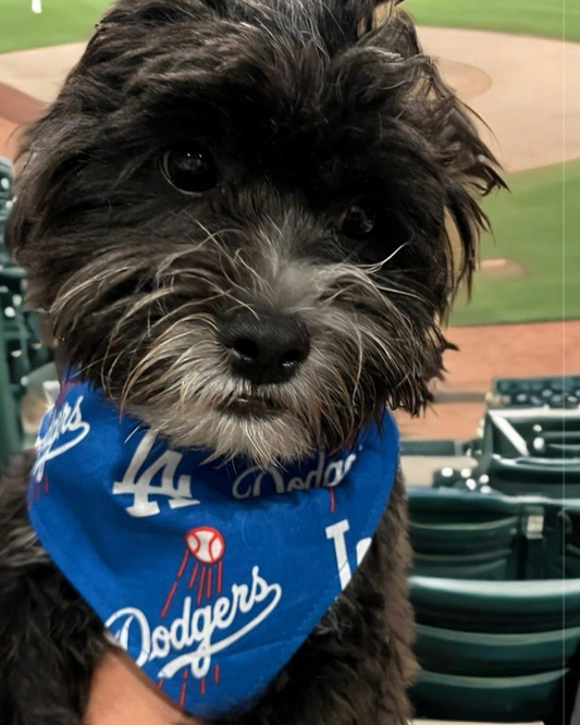 Dodgers dog bandana hot sale
