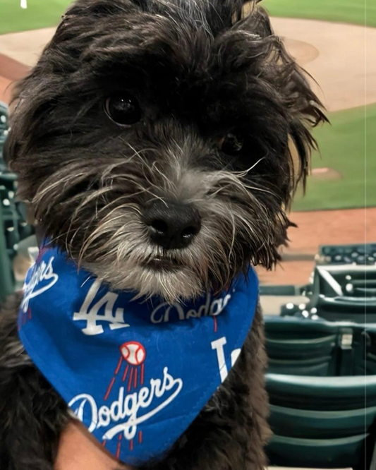 LA Dodgers Dog Bandana