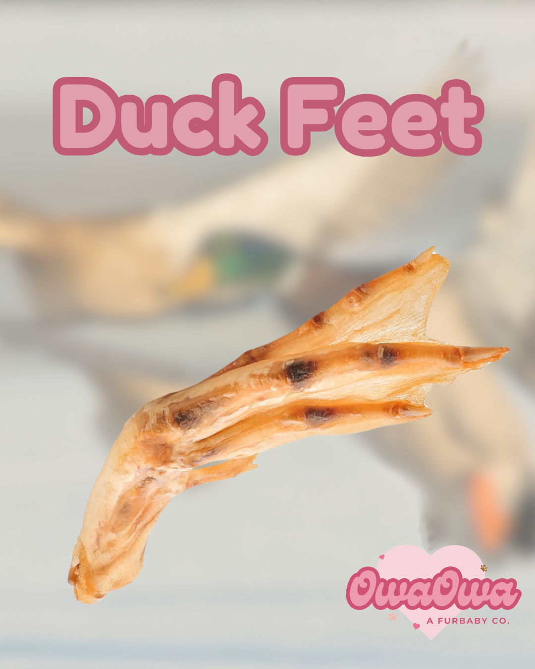 Duck feet for dogs