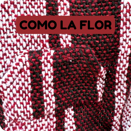 Como La Flor Dog + Cat Poncho