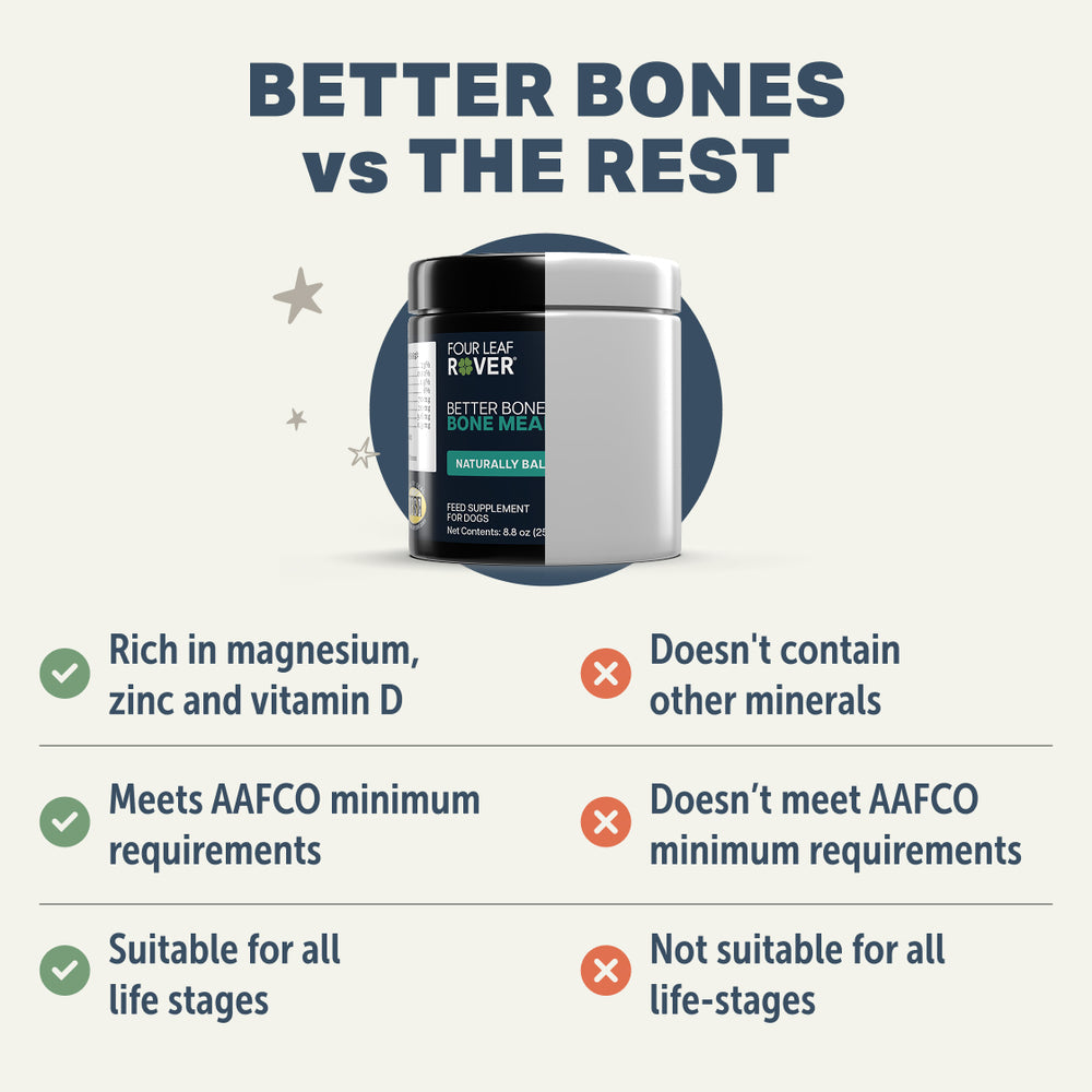 Better Bones
