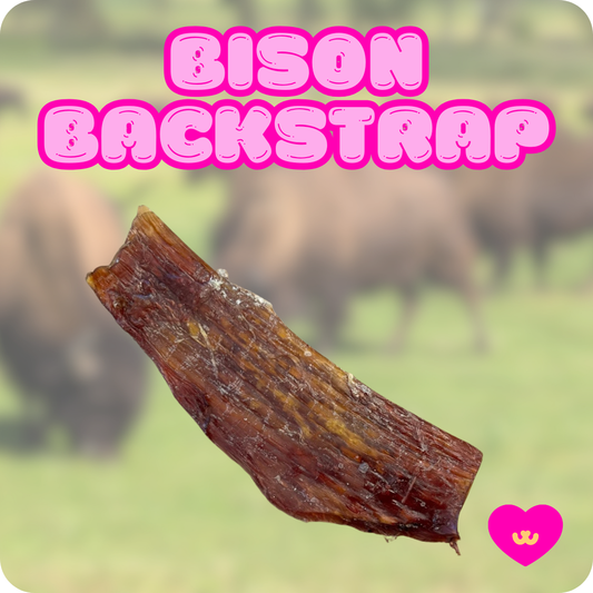 hypoallergenic bison dog treats for food-sensitive dogs bison ligament