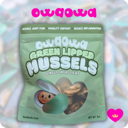 Owa Owa Green Lipped Mussels for dogs & cats – small nutrient-rich mussels arranged neatly in a pastel Owa Owa kawaii-style setting. Gentle sparkles, soft shadows, and clean composition highlight their functional benefits while keeping the focus on the natural treat.