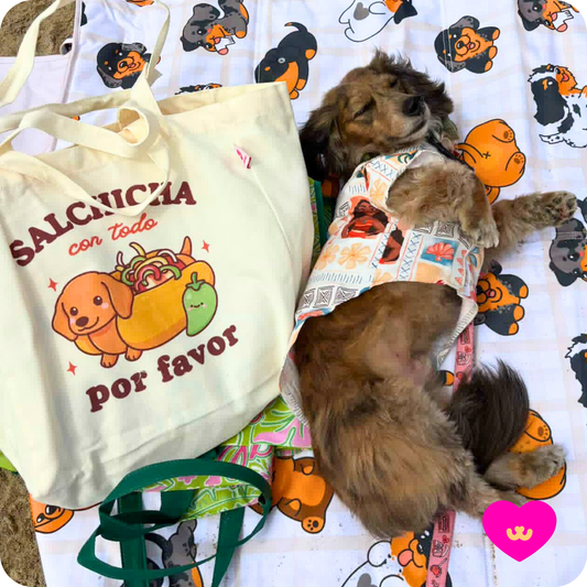 Owa Owa Salchicha Con Todo Por Favor canvas tote bag with double handles and dachshund design, pictured next to a sleeping dachshund wearing a colorful vest on a dog-themed blanket