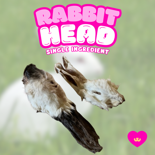 Whole rabbit head with fur dog chew by Owa Owa, displayed as a natural, nutrient-rich, single-ingredient treat for primal enrichment and canine health.