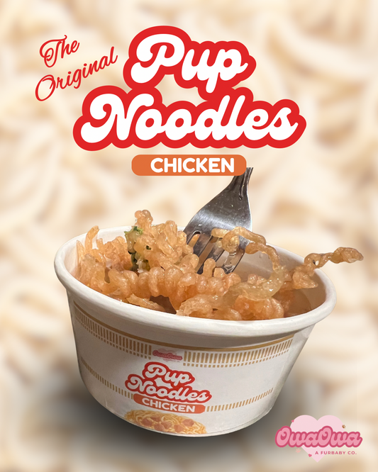 chicken pup noodles