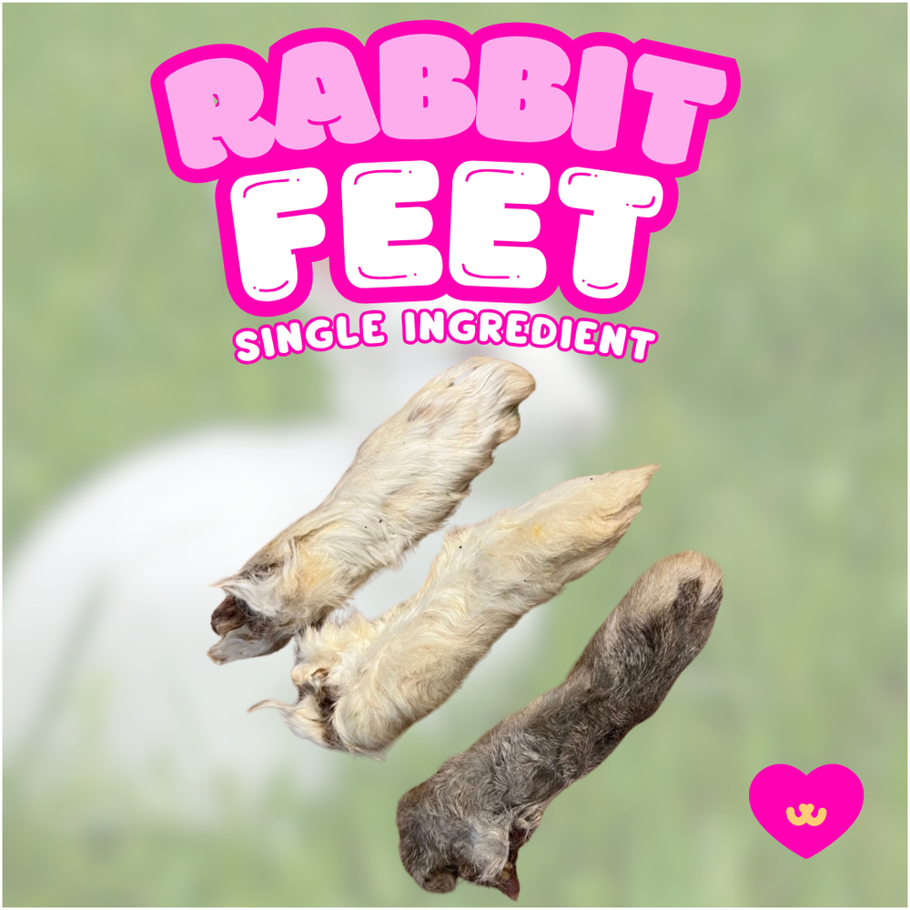 Owa Owa Rabbit Feet with Fur – natural, air-dried whole-prey chew with fur intact. Novel protein rabbit treat that supports gut health, dental hygiene, and joint mobility. Single-ingredient, primal enrichment chew for dogs of all sizes.