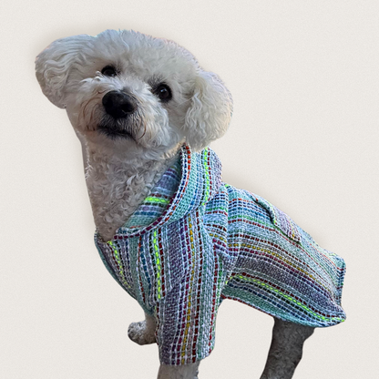 Small white dog wearing a colorful Owa owa Poncho, hoodie, sweater on a light gray background