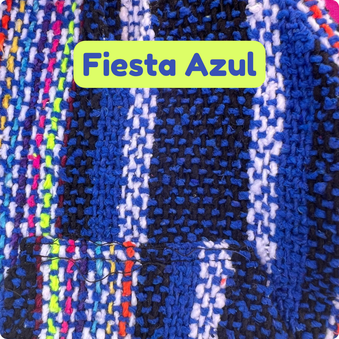 Fiesta Azul Dog Poncho