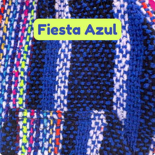 Fiesta Azul Dog Poncho