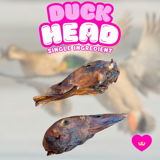 Owa Owa Air-dried whole duck head chew on a clean background, highlighting its natural muscle, bone, and tendon structure. Pictured as a single-ingredient, nutrient-rich chew for dogs.