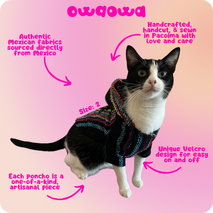 Aurora Boreal Dog Poncho