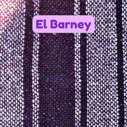 El Barney Dog + Cat Poncho