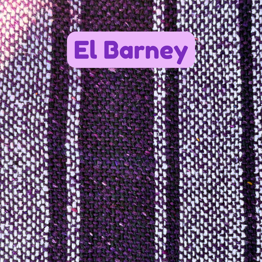 El Barney Dog + Cat Poncho