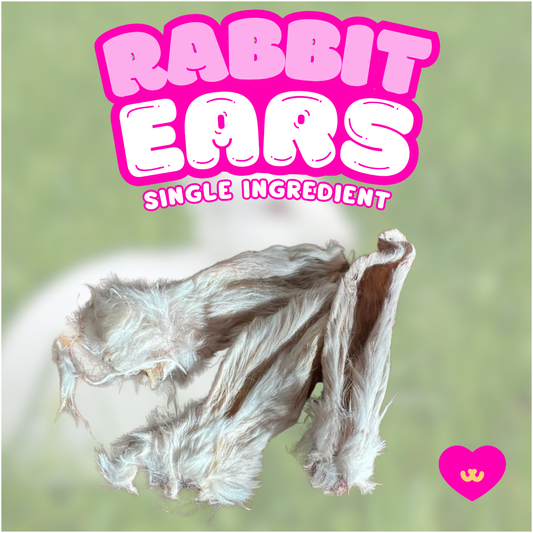 Owa Owa Rabbit Ears with Fur. Highlighted as a natural, single-ingredient chew that supports gut health, dental hygiene, and enrichment while being a hypoallergenic protein source.