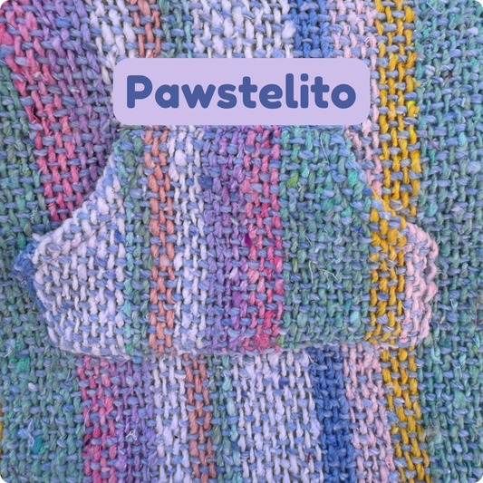 Pawstelito Dog Poncho