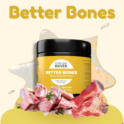 Better Bones
