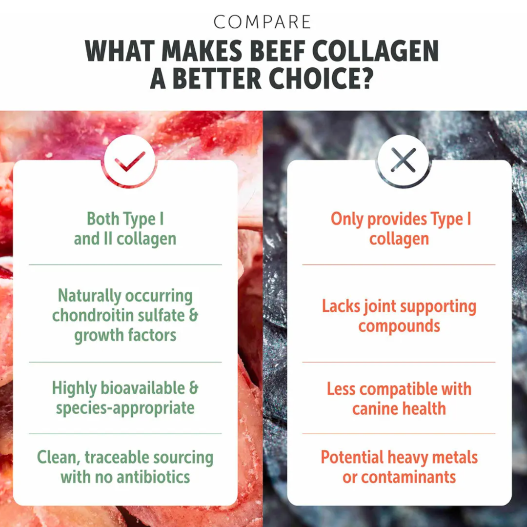 Collagen
