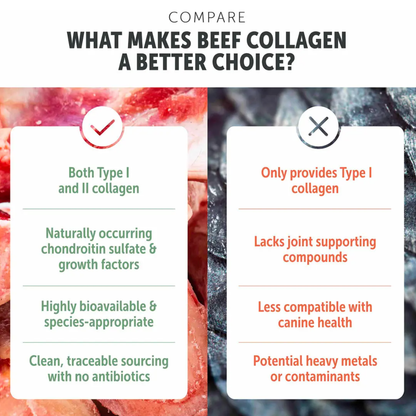 Collagen