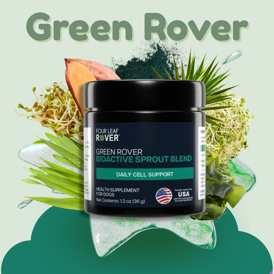 Green Rover