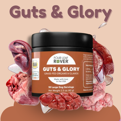 Four Leaf Rover Guts &amp; Glory
A freeze-dried blend of six grass-fed beef organs and glands that makes it easy to add nutrient-dense animal foods to kibble, cooked, or raw meals.