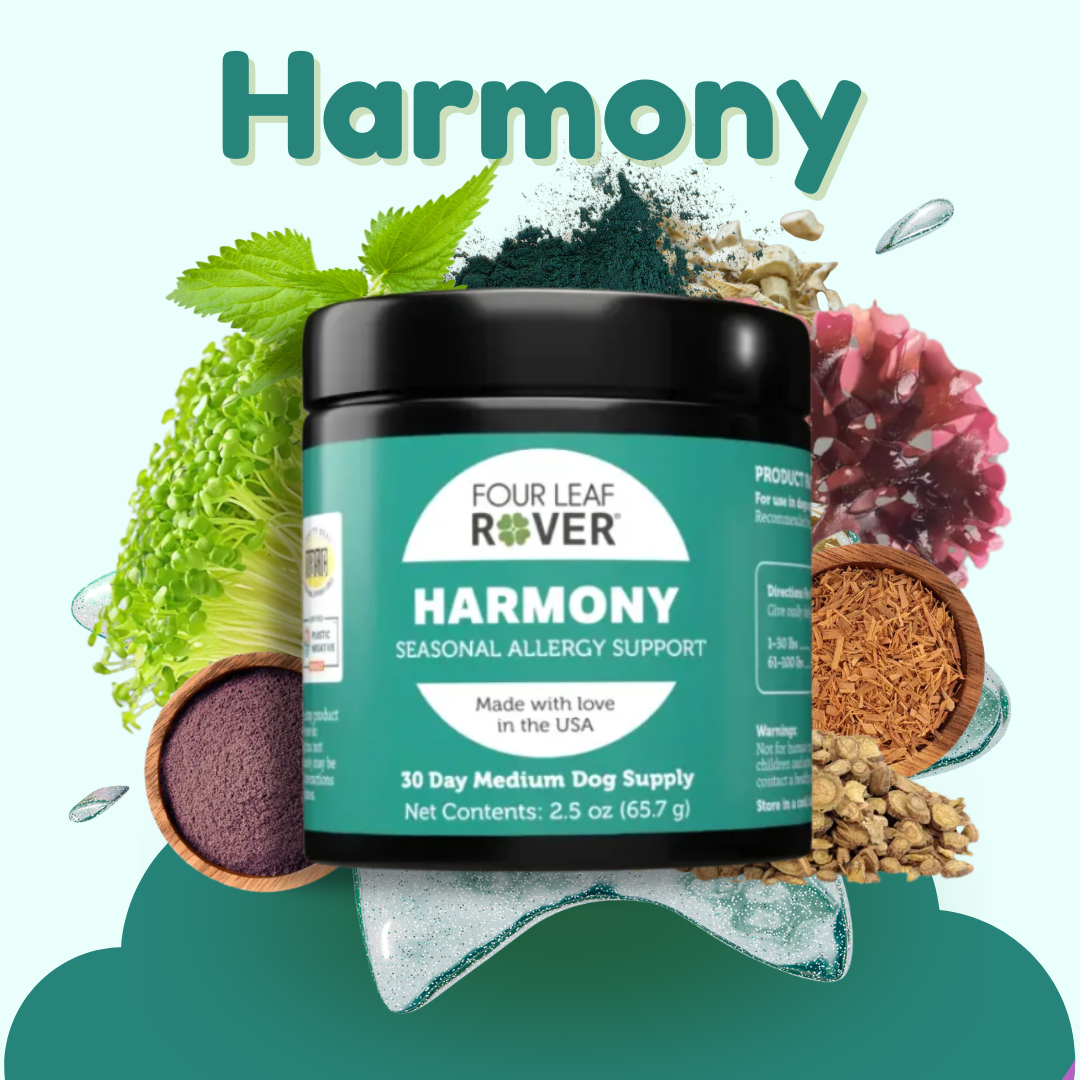 Four Leaf Rover Harmony

A veterinarian-formulated daily supplement made to support healthy skin and a normal histamine response when grass, pollen, dust, and changing seasons have your dog feeling itchy.