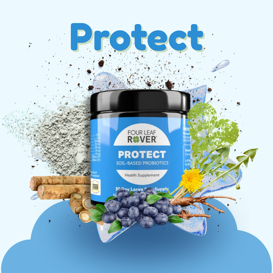 Four Leaf Rover Protect probiotic supplement for dogs
