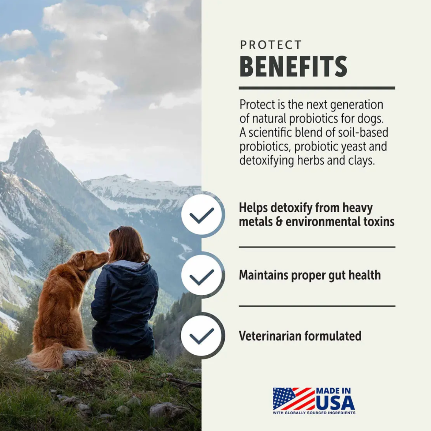 Protect probiotic powder ingredients and benefits for gut health”