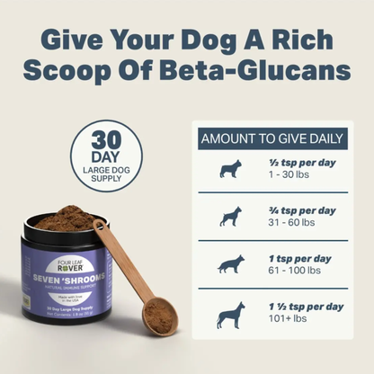 Four Leaf Rover Seven 'Shrooms | Immune & Organ Support for Dogs – Owa Owa