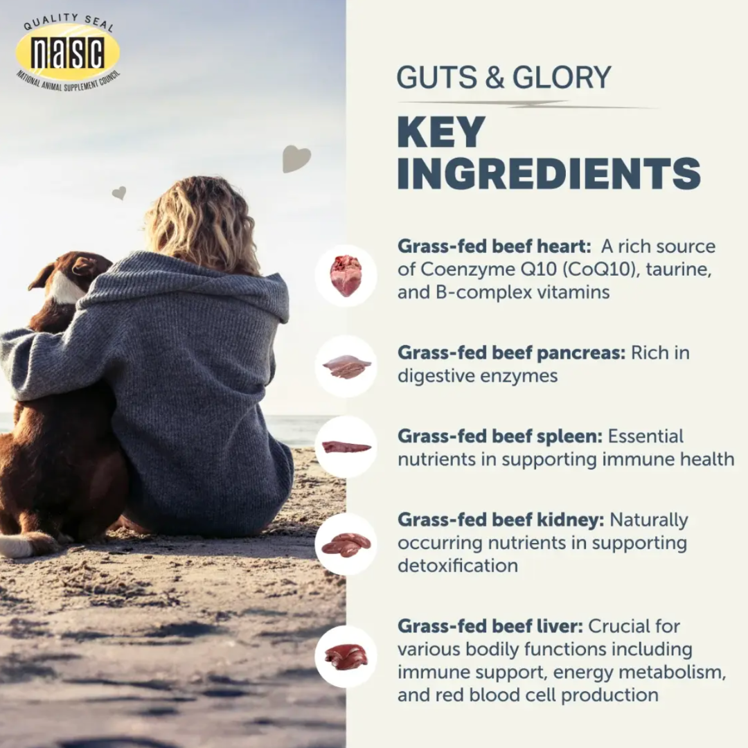 Guts & Glory
