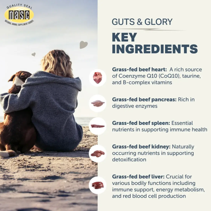 Guts & Glory