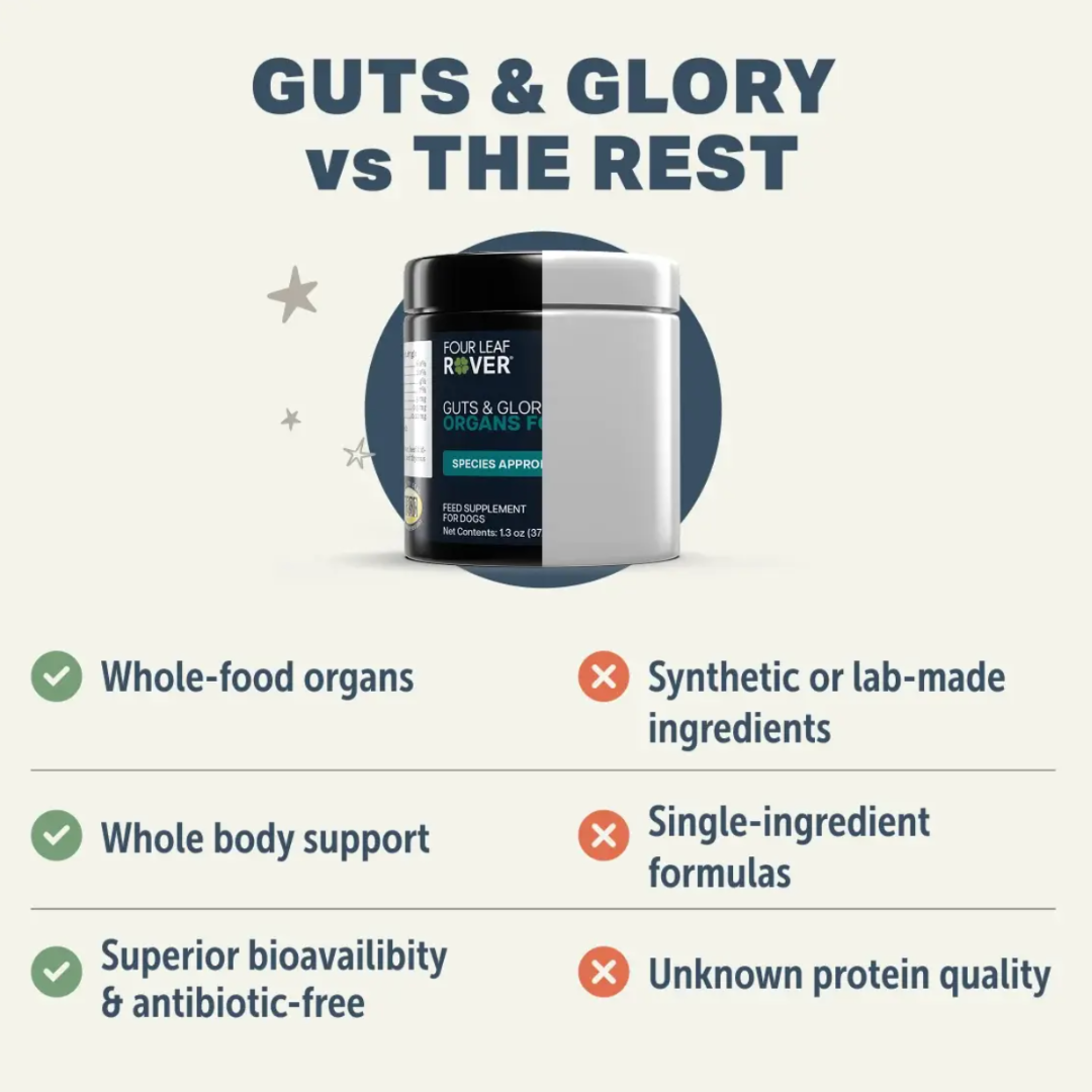 Guts & Glory