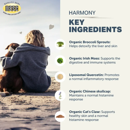 Harmony