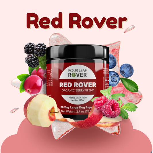 Four Leaf Rover Red Rover

A 100% organic blend of apple skins, wild blueberries, raspberries, and cranberries that makes it easy to add plant-based fiber, antioxidants, and phytonutrients to your dog's regular meals.