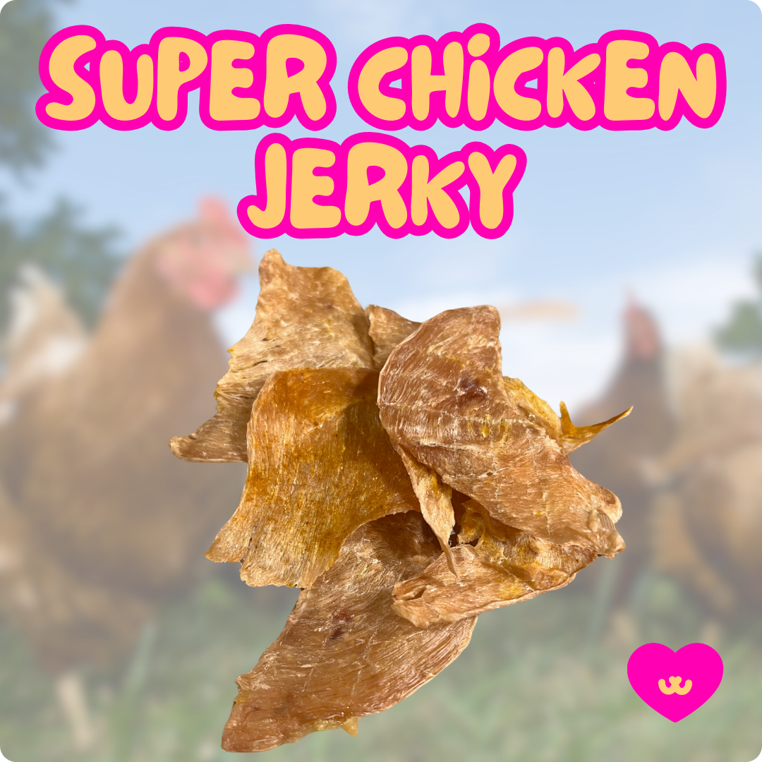 Natural chicken breast jerky with turmeric for senior dogs with joint pain 