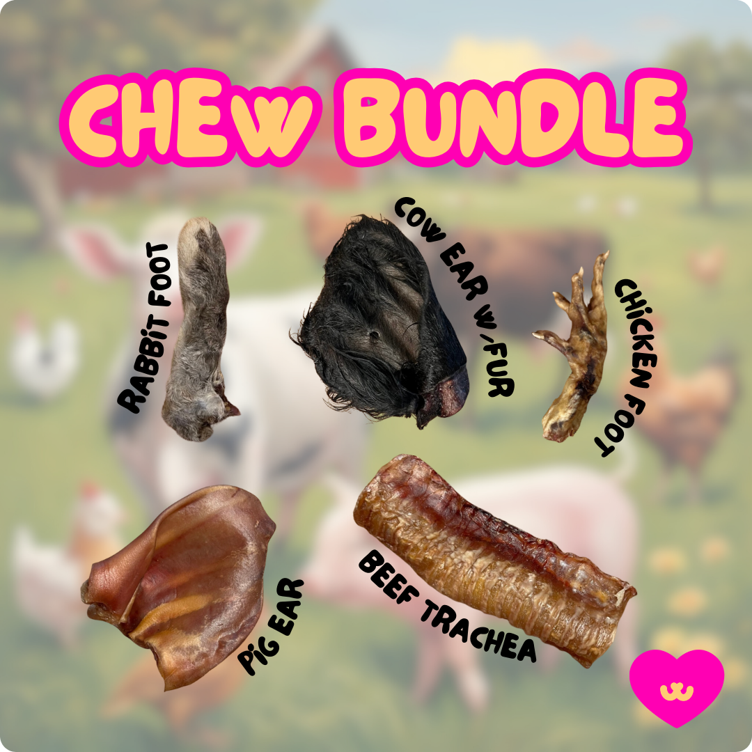 Find your dogs favorite chew with this chew bundle of various dog chews