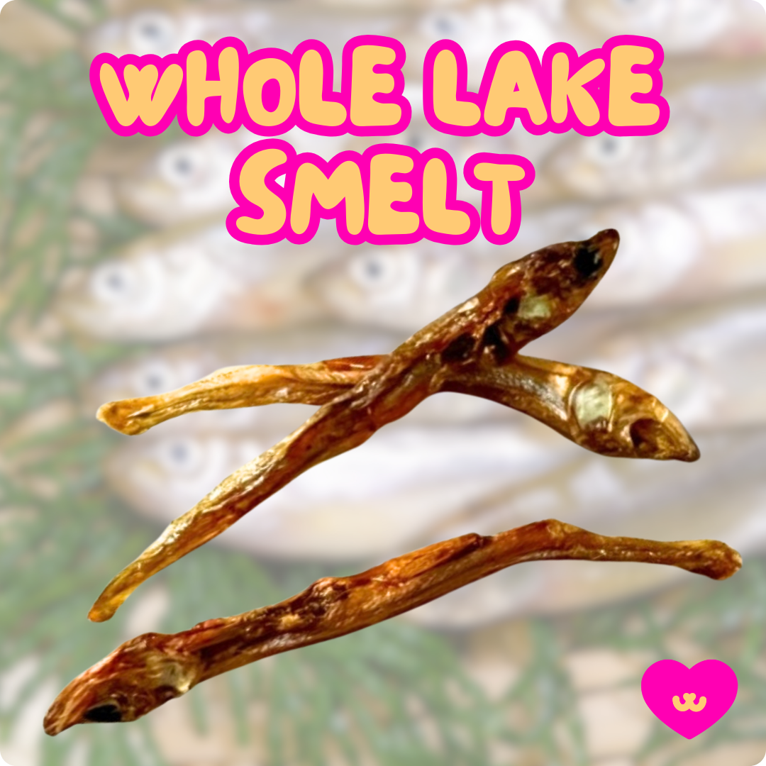 Single ingredient whole lake smelt for dogs with skin allergies and digestive issues. 