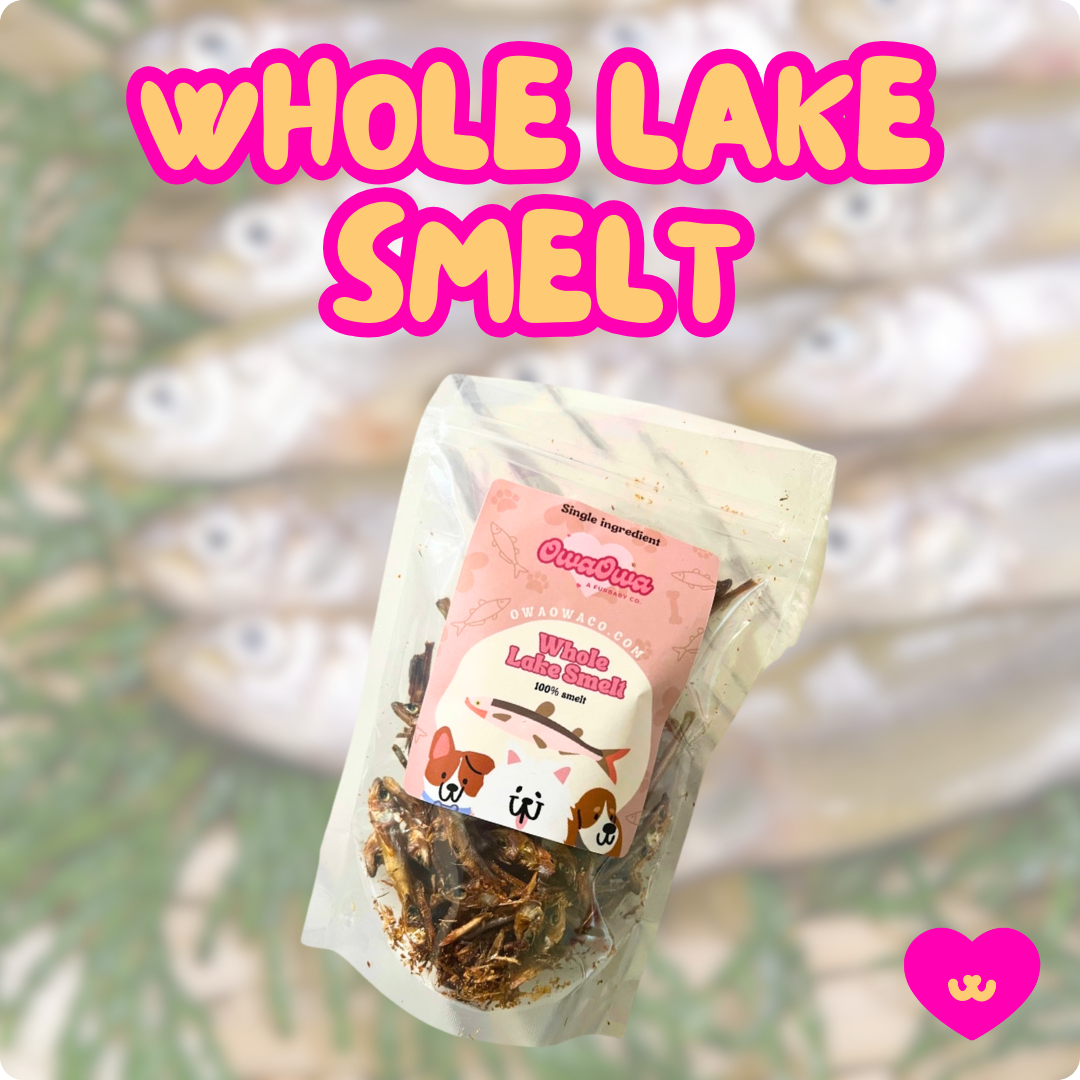 Natural whole lake smelt for dogs. Rich in omega-3 fatty acids for healthy skin and coat. 