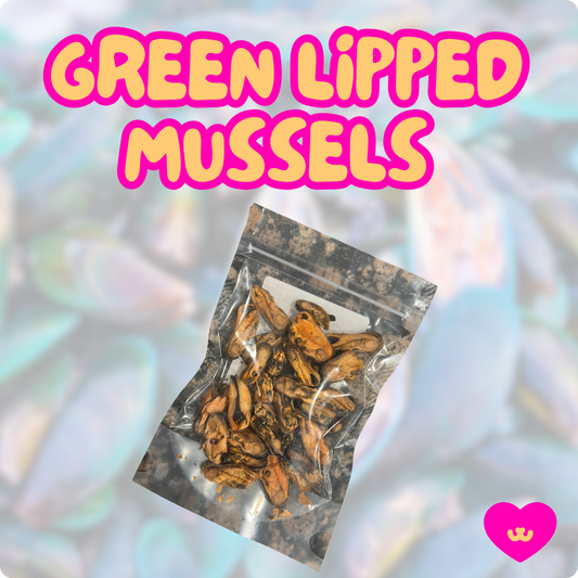 Natural, anti-inflammatory green lipped mussel treats for dogs with hip dysplasia and joint pain