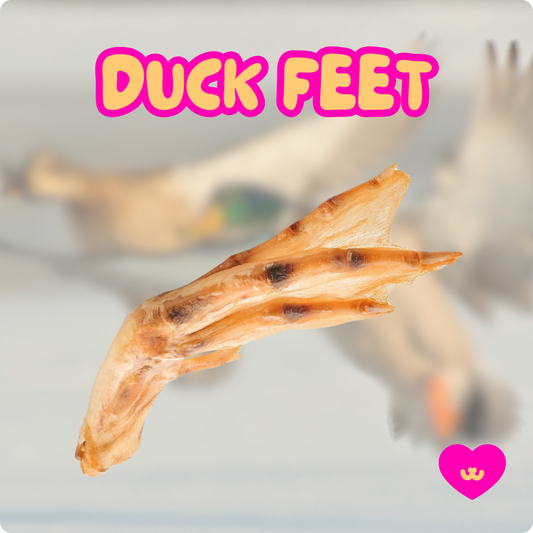 Duck feet dog chew. Dental chews for dogs. 