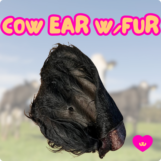 Cow ear with fur dog chew