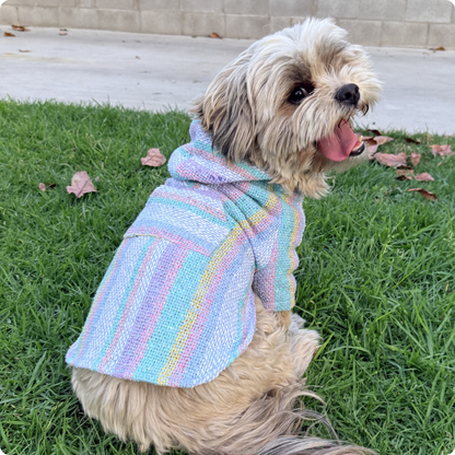 Dog wearing Owa Owa unique one of a kind handmade poncho Baja sweater hoodie. 