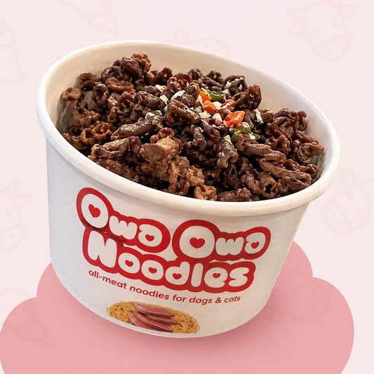 Owa Owa Noodles – Beef