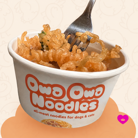 Owa Owa Noodles – Chicken