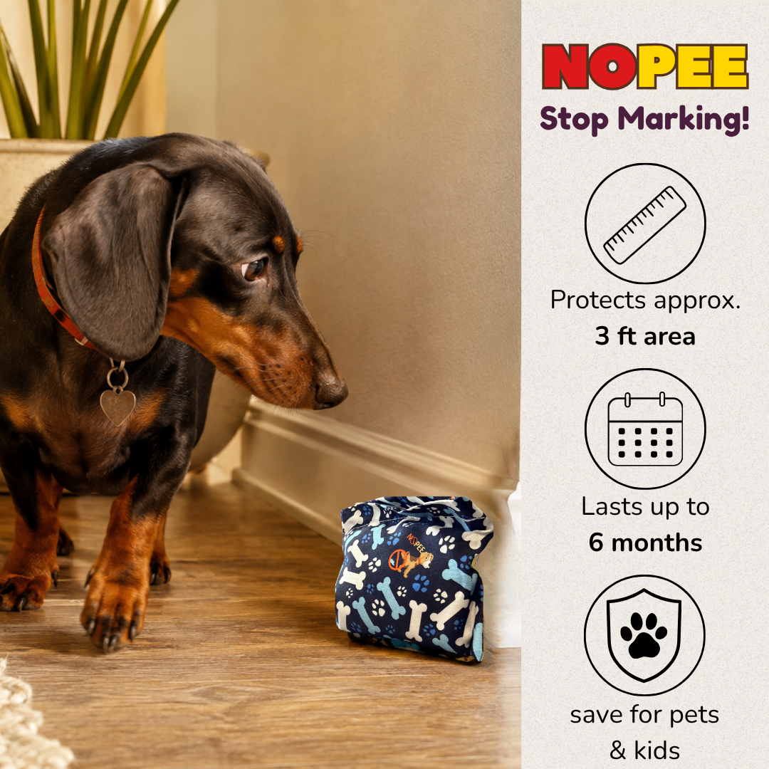 NOPEE dog marking deterrent bag placed near an indoor marking spot with a dachshund, designed to discourage repeat urine marking.