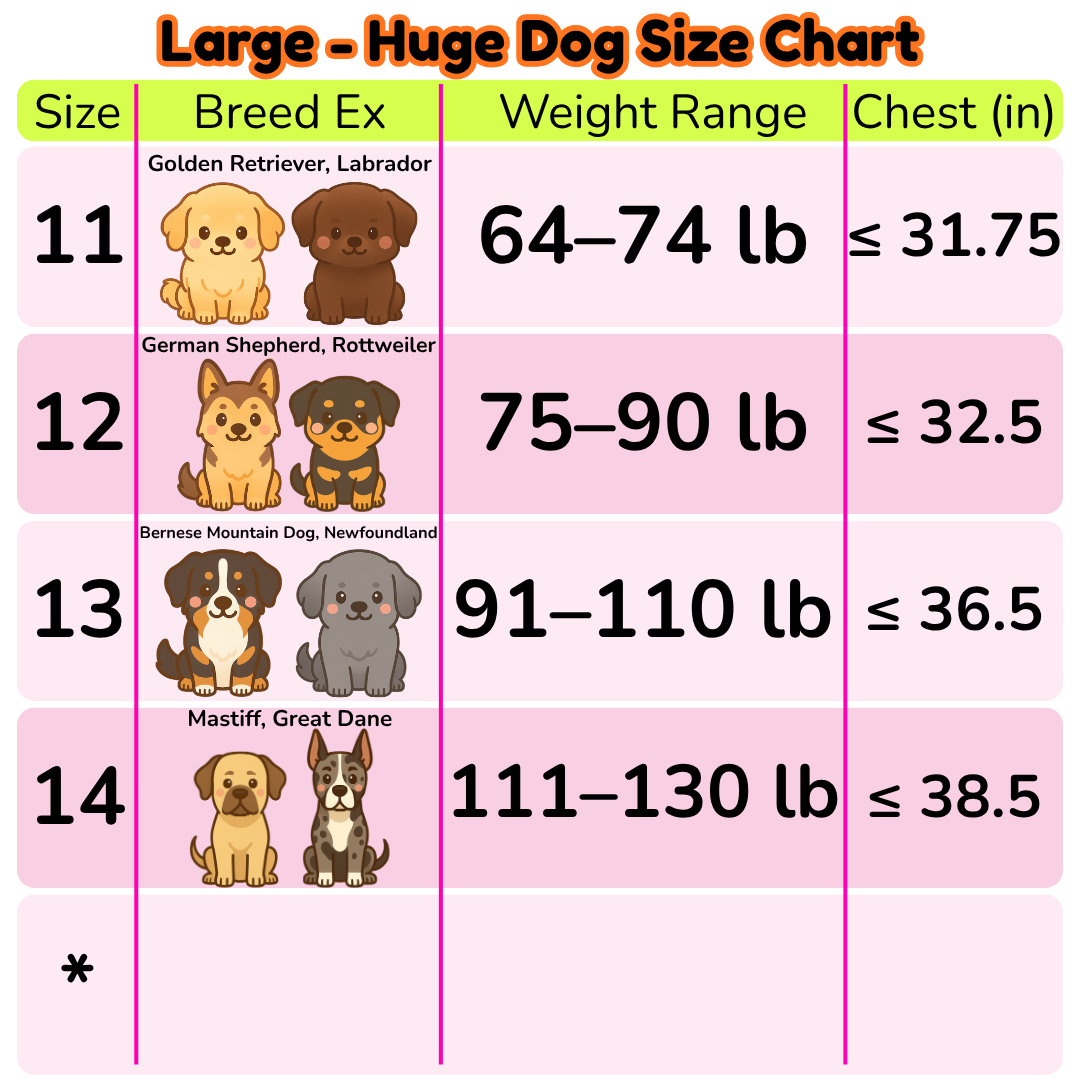 Aurora Boreal Dog Poncho