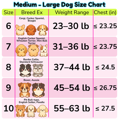 Aurora Boreal Dog Poncho