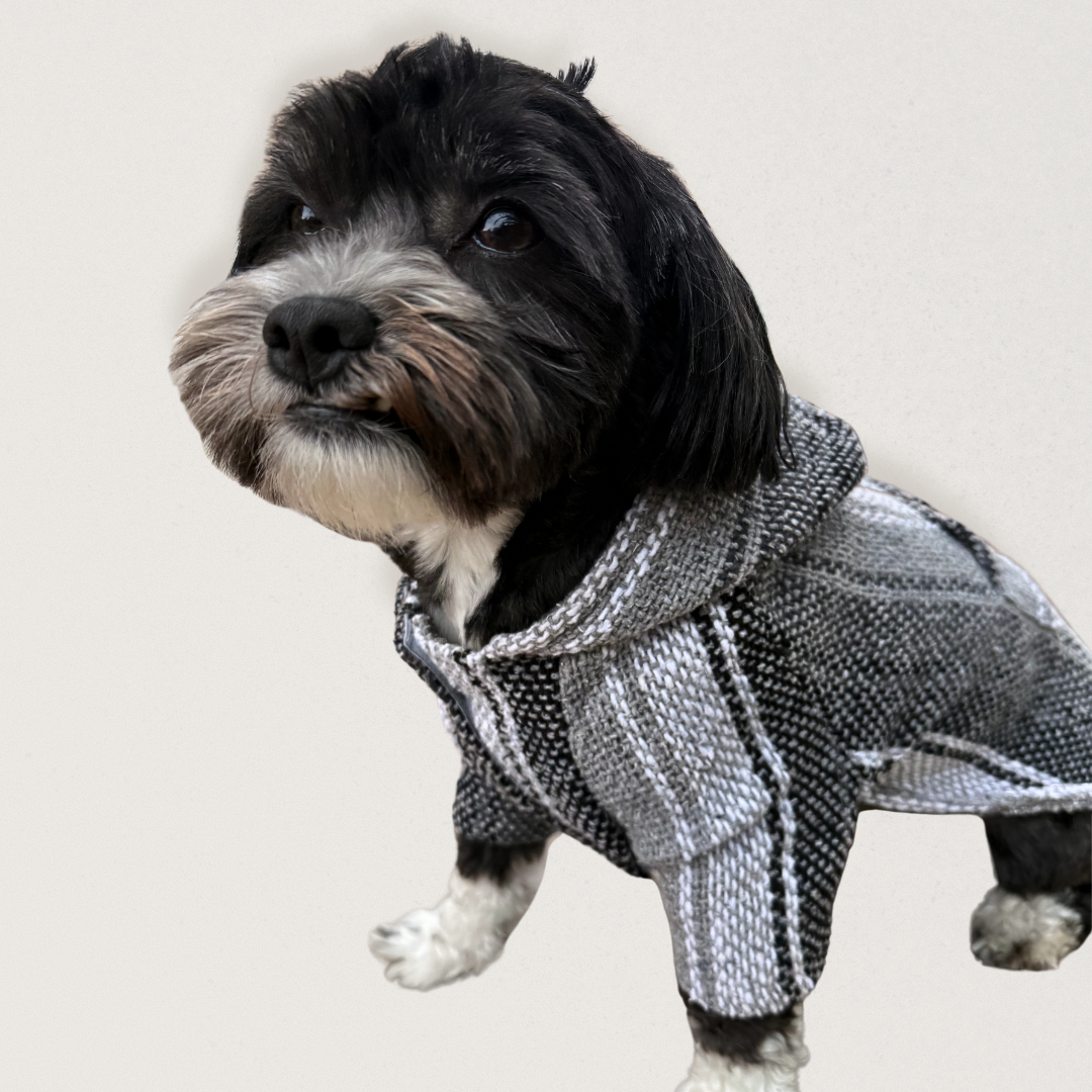 Dog wearing a gray Owa Owa Poncho sweater hoodie coat on a light background