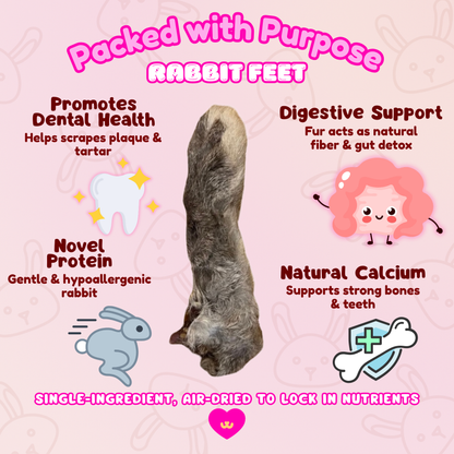 Benefits of Owa Owa Rabbit Feet with Fur for dogs – supports digestion with natural fiber from fur, scrapes plaque and tartar for dental health, provides collagen for joint support, and offers novel rabbit protein for sensitive pups. Single-ingredient, primal enrichment chew.