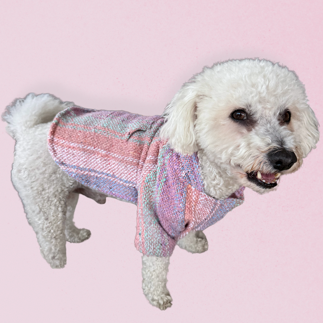 White dog wearing a pink and purple Owa Owa Poncho striped sweater on a pink background